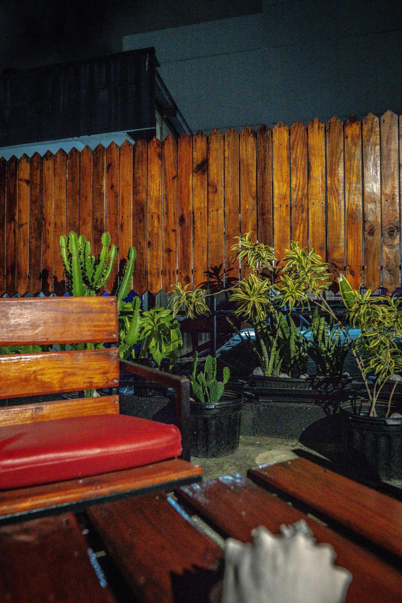 Eden'S Garden Hostel Panama by Eksteriør bilde